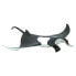 SAFARI LTD Manta Ray 2 Figure