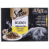 Фото #2 товара SHEBA Delicacy Jelly Chicken 85g Wet Cat Food 12 Units