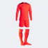 Фото #1 товара Joma Zamora VIII goalkeeper kit 103242.040