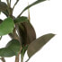 Фото #5 товара Декоративное растение полиэтилен Железо PEVA Дуб 76 cm