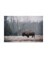Adam Mead Solitary Bison I Canvas Art - 20" x 25"