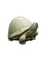 Фото #1 товара Статуэтка садовая для черепахи Campania International "Box Turtle"
