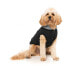 FUZZYARD Cremorne Dog Sweatshirt Hoodie