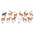 SAFARI LTD Horses Toob Figure