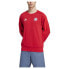 Фото #1 товара ADIDAS FC Bayern Munich DNA 24/25 sweatshirt