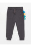 LCW baby Kapüşonlu Uzun Kollu Baskılı Erkek Bebek Fermuarlı Sweatshirt ve Pantolon 2'li Takım