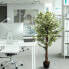 Фото #16 товара Искусственный цветок hjh OFFICE FICUS