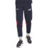 Фото #1 товара Брюки спортивные PUMA Rbr Sds Track Pants для мужчин 533801-01 Синие Casual Athletic Bottoms
