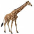 Фото #3 товара COLLECTA Giraffe Figure