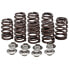 Фото #1 товара KIBBLEWHITE 20-21205 Valve Springs&Washers