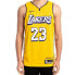 Фото #3 товара Футболка мужская Nike NBA SW 19-20 Лейкерс Леброн 23 номер Желтая