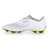 Adidas Predator Accuracy 4