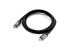 Фото #1 товара Equip USB 4 Gen 3 C to C Cable - M/M - 1.2m - 8K/60Hz - 40Gbps - PD3.1 240W - 1.2 m - USB C - USB C - USB4 Gen 3x2 - 40000 Mbit/s - Black