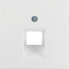 Berker 14071909 - White - Plastic - Conventional - 10 pc(s)