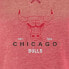 Фото #3 товара NBA Chicago Bulls Women's Burnout Crew Neck Retro Logo Fleece Sweatshirt - S