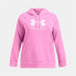 Фото #4 товара UNDER ARMOUR Rival Fleece Logo hoodie