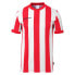 ფოტო #1 პროდუქტის UHLSPORT Retro Stripe short sleeve T-shirt