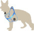 Фото #2 товара Шлейка для собак Dingo Fred Energy, размер 60, ширина 1.6 см, Розовая (94613)