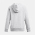 UNDER ARMOUR Rival Fleece Wordmark hoodie