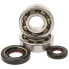 Фото #1 товара HOTRODS Fantic M250 Xx 22-23/Yamaha YZ 250 01-23/X 16-23 Crank Shaft Bearing Kit