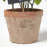 Фото #10 товара Künstliche Basilikum-Topfpflanze