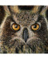 Фото #2 товара Dino Tomic Owl Splatter Museum Mounted Canvas 18" x 18"