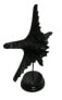 Skulptur Stern Schwarz Marmoroptik