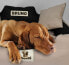 Фото #9 товара AIO FACTORY Legowisko personalizowane KINGDOG 115x95 ciemno szare