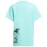 ფოტო #2 პროდუქტის ADIDAS LG DY CPO2 short sleeve T-shirt