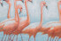 Фото #9 товара Acrylbild handgemalt Flamingoclique