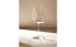 Conical crystalline wine glass