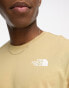 The North Face Redbox back print t-shirt in beige