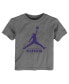 Toddler Gray Sacramento Kings Essential Jumpman T-Shirt