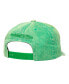 Men's Green Milwaukee Bucks Washed Out Tonal Logo Snapback Hat