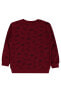 Фото #17 товара Erkek Çocuk Sweatshirt 2-5 Yaş Bordo