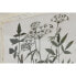 Фото #3 товара Картина Home ESPRIT Shabby Chic Ботанические растения 40 x 1,5 x 50 cm (6 штук)