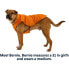 Фото #10 товара RUFFWEAR Quinzee Dog Jacket