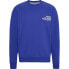 Фото #1 товара TOMMY JEANS Reg Entry Graphic Sweatshirt