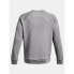 Фото #2 товара Under Armor Fleece Crew M 1379755-025 sweatshirt