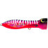 Hot Pink Mackerel