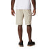 Columbia 292580 Men's Silver Ridge Cargo Shorts,Fossil,42W x 10L Big Tall