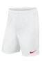 Фото #1 товара Детские спортивные шорты Nike Youth 725988-102 Mat