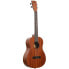 Kala Learn To Play Uke Baritone Kit