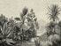 Фото #1 товара Fototapete Vintage Dschungel Beige Grau