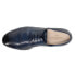 Фото #7 товара Lucchese Franca Oxford Womens Blue Flats Casual BL7750