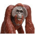 Фото #3 товара SAFARI LTD Bornean Orangutan Figure
