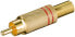 Фото #1 товара Wentronic RCA plug - RCA - Gold