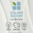 Conditioner for Fine Hair (Volumebloom Conditioner)
