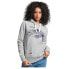 SUPERDRY Vintage Script Style Coll hoodie