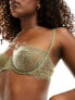 Calvin Klein unlined lace bra in khaki